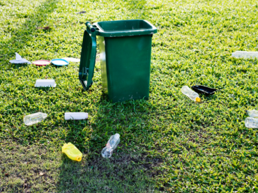 Imagen de novedad reciente